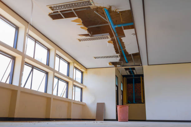 Best Commercial water damage restoration  in Phillipsburg, GA