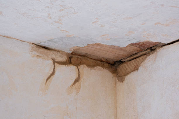  Phillipsburg, GA Water damage restoration Pros