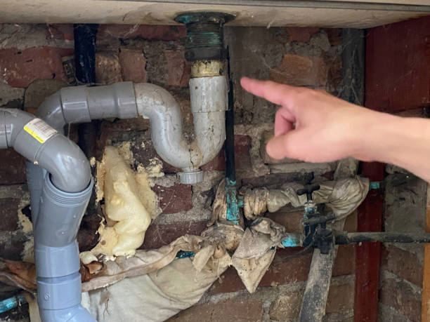 Best Mold removal after water damage  in Phillipsburg, GA