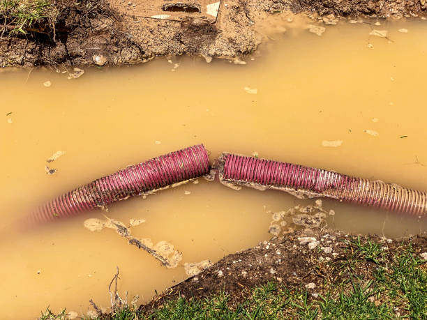 Best Water damage restoration company  in Phillipsburg, GA