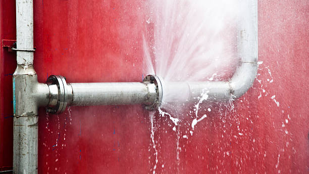 Best Water damage mitigation services  in Phillipsburg, GA