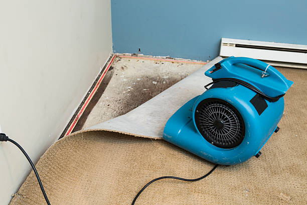 Best Flood restoration services  in Phillipsburg, GA